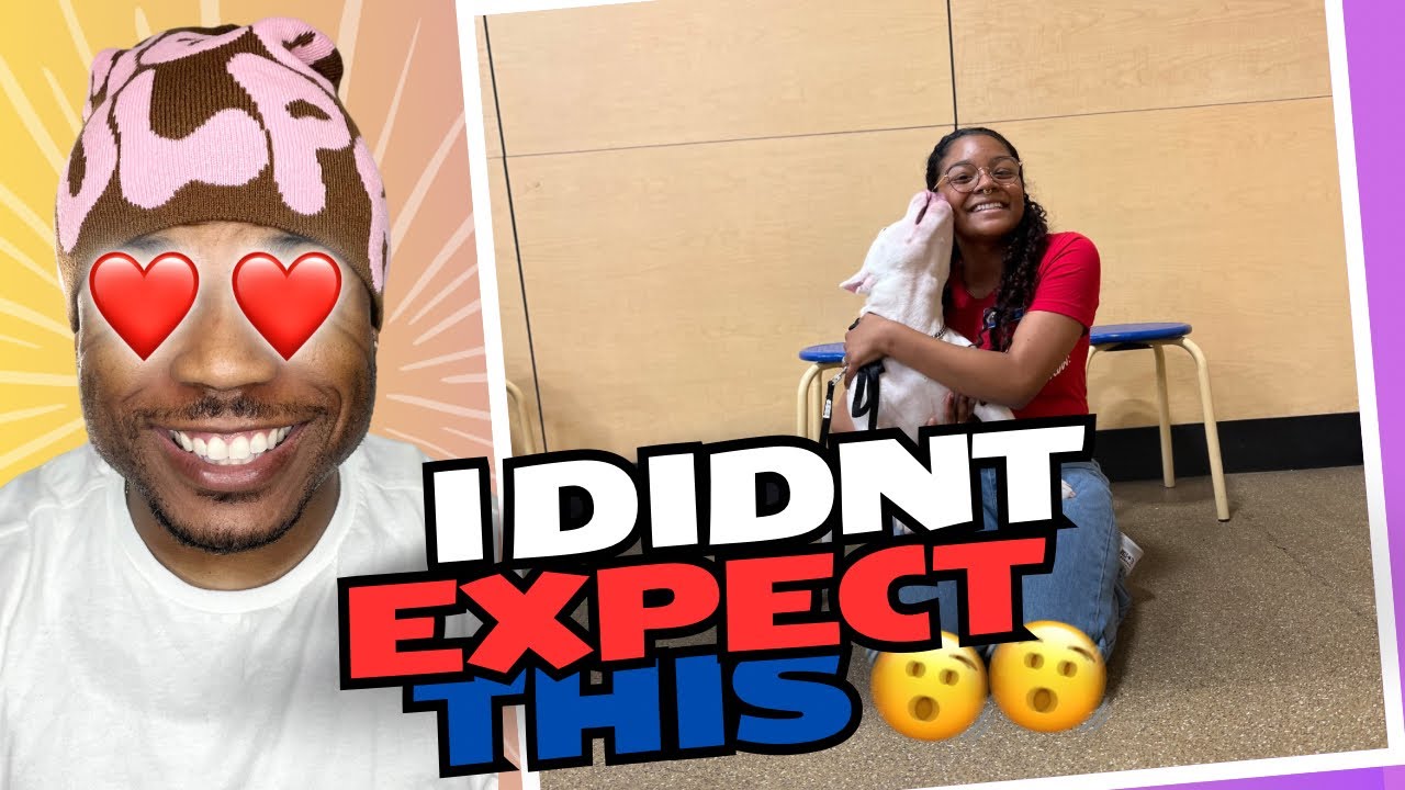 PetSmart Training Review Is It WORTHYour Money Honest Thoughts From petsmart-training-review-is-it-worthyour-money-honest-thoughts-from