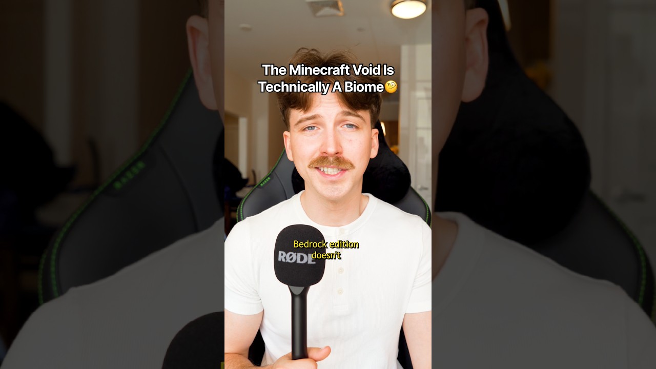 The Minecraft Void Is Technically A Biome🧐