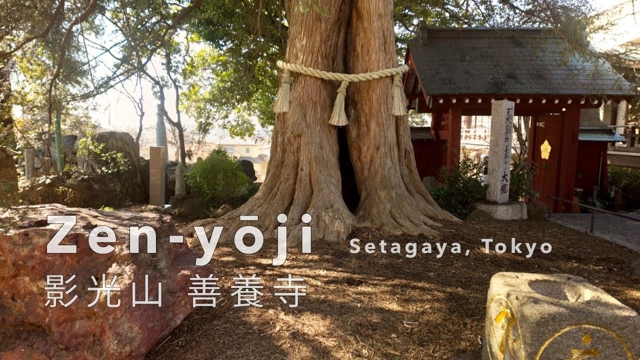 Temple of Giants | Zen-yōji Temple – Setagaya, Tokyo | 善養寺 (4K)