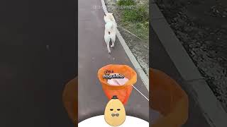 esse cara tem preparo kkkkkkkk