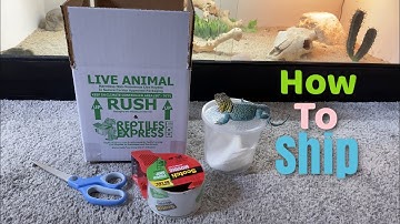HOW TO SHIP REPTILES