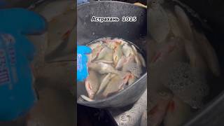 ВАРИМ, ВАРИМ, КУХАВАРИМ #астрахань #fishing #рыбалка #загатовщики #станья #густера #тарашка #жарим
