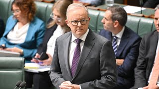 Government awaiting tax concession options for businesses