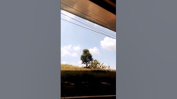 Jumat Berkah di Pegunungan Temanggung #Viral #Healing #Nature #Park #Shorts #Fyp #Wisata #🇵🇸 #Travel