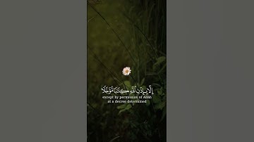 و ما كان لنفس أن تموت إلا بإذن الله كتابا مؤجلا || القارئ: ماهر المعيقلي