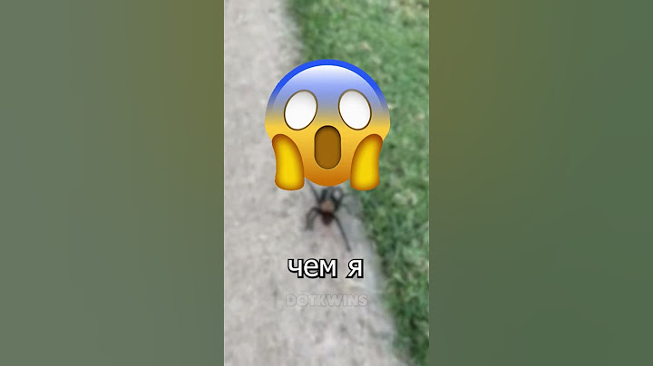 Почему не стоит убивать паука! 😱👀 Ждите конца!