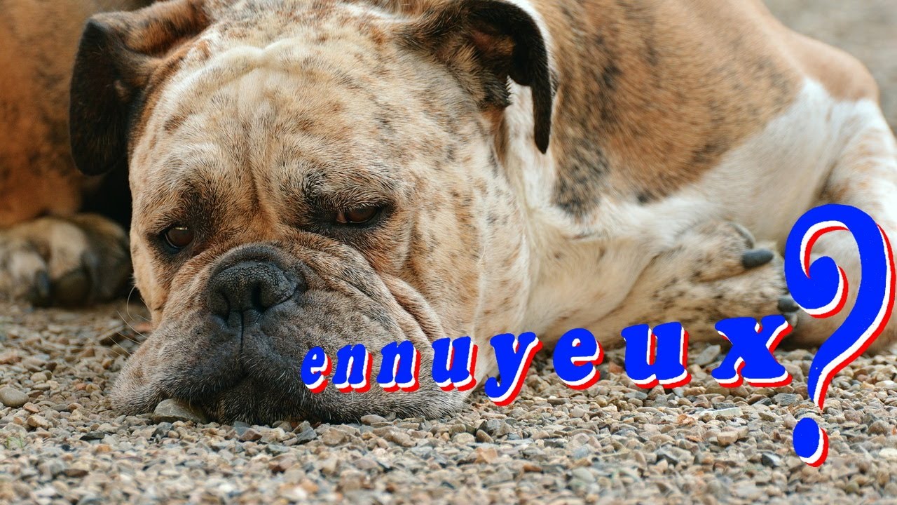 HOW TO PRONOUNCE ENNUYEUX