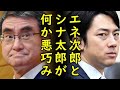河野太郎氏に甘利明から幹事長ポストを交代せよと自民党、一方、小泉進次郎氏の人気が相変わらずの不動っぷり【カッパえんちょー】