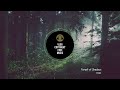 Capture de la vidéo Ttrm - Forest Of Shadows [Vlog No Copyright Music]