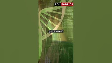 Unlocking Advanced Bioinformatics in 30 Seconds!