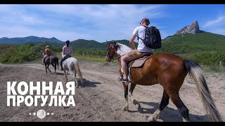 Прогулка на лошадях (Крым, пгт. Коктебель, отель LEXX)