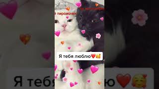 СОЛНЫШКО НЕ ГРУСТИ🥰🥰🥰