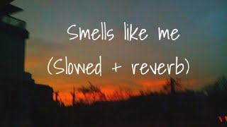 Charlie Puth - Smells Like Me Slowed Reverb