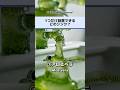 どのシンクを使いたい?アロエベラVS蜂蜜#asmr #shorts #satisfying
