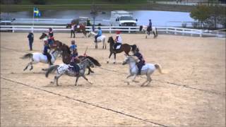 Mounted Games - USMGA - Five screenshot 4