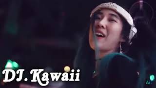 我們不一樣 Wo Men Bu Yi Yang Remix Vs Despacito (FunkyHardstyle Remix) DJ Kawaii Chinese Medan