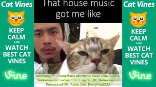 Ultimate Cat Vines Compilation #1 - April 2016 by Ultimate Cat Vines 53,020 views 8 years ago 15 minutes
