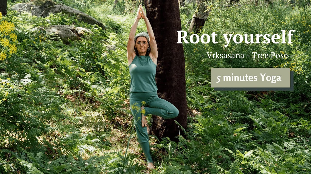 Vrksasana  Rooting in Tree pose - 5 minutes Yoga with @all_life_is_yoga 