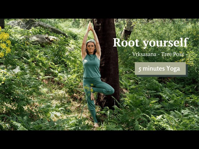 Vrksasana |  Rooting in Tree pose - 5 minutes Yoga with @all_life_is_yoga