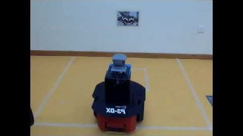 Robot Parking - A visual homing algorithm using a mobile robotic  platform and a monocular camera
