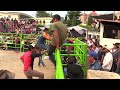 Video de San Pedro Mártir Quiechapa