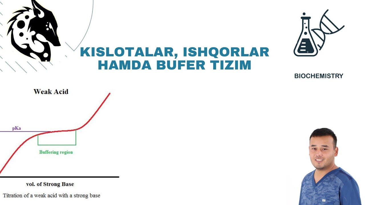 Kislotalar; ishqorlar va bufer tizim