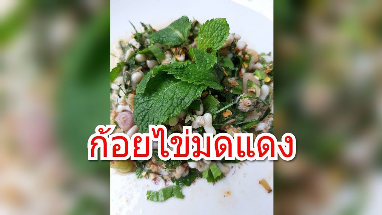Yum Khai Mod Daeng (Ant Eggs Spicy Salad)