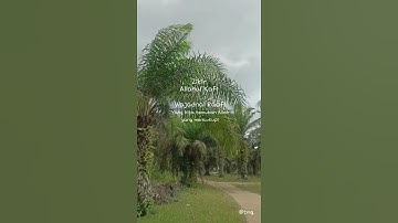 zikir Allahul kafi