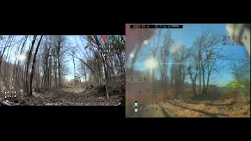 HDZero 200 mW vs Analog 800 mW Forest Penetration Test