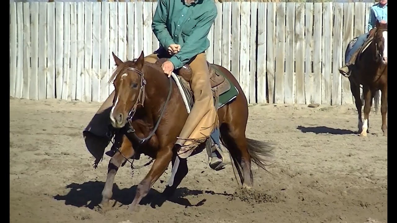 Dual Smart Gabby Cat