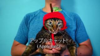 Ppap With Cats Cutest Pen Pineapple Apple Pen Parody