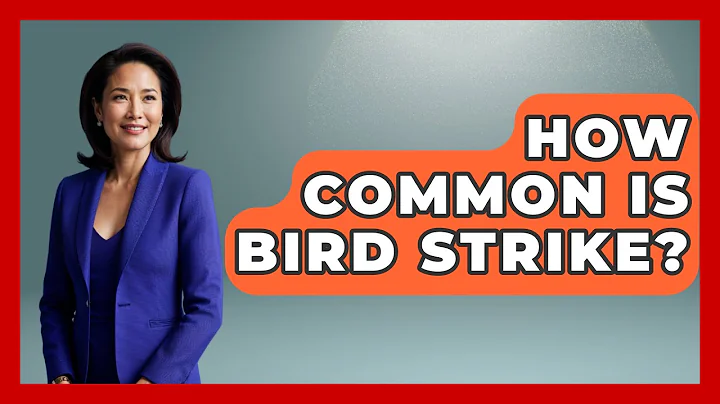 How Common Is Bird Strike? - Air Traffic Insider