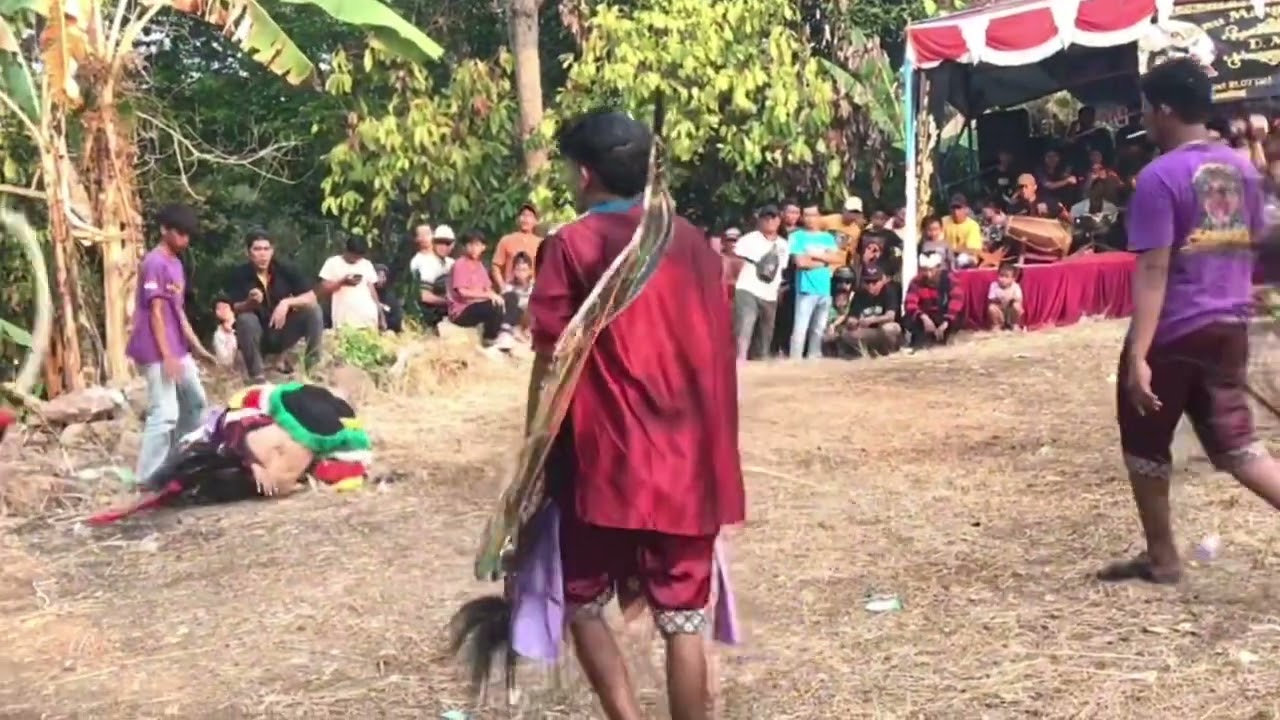 kucingan vs kepang full perangan || Danu manggolo putro