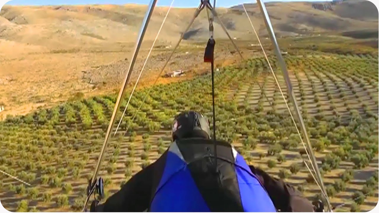 Hang Glider Lands In Tree How To Make Olive Oil YouTube