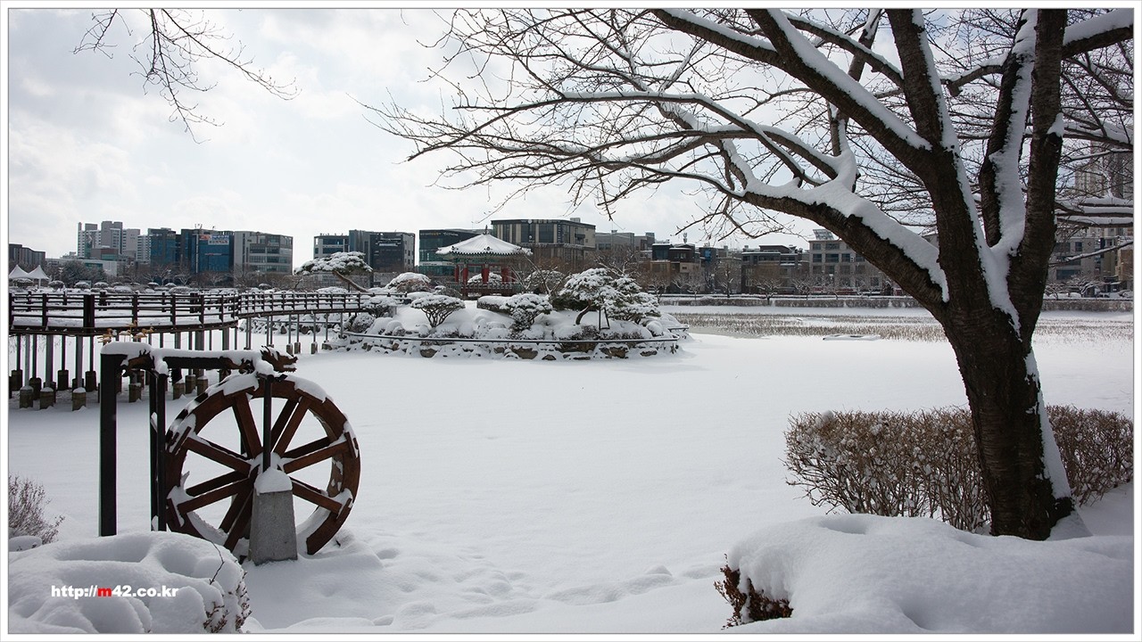좋은 날의 추억