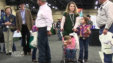 The Angus Report, Feb. 13, 2012: Around the Angus World