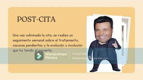 Disposiciones de un proyecto de programacion