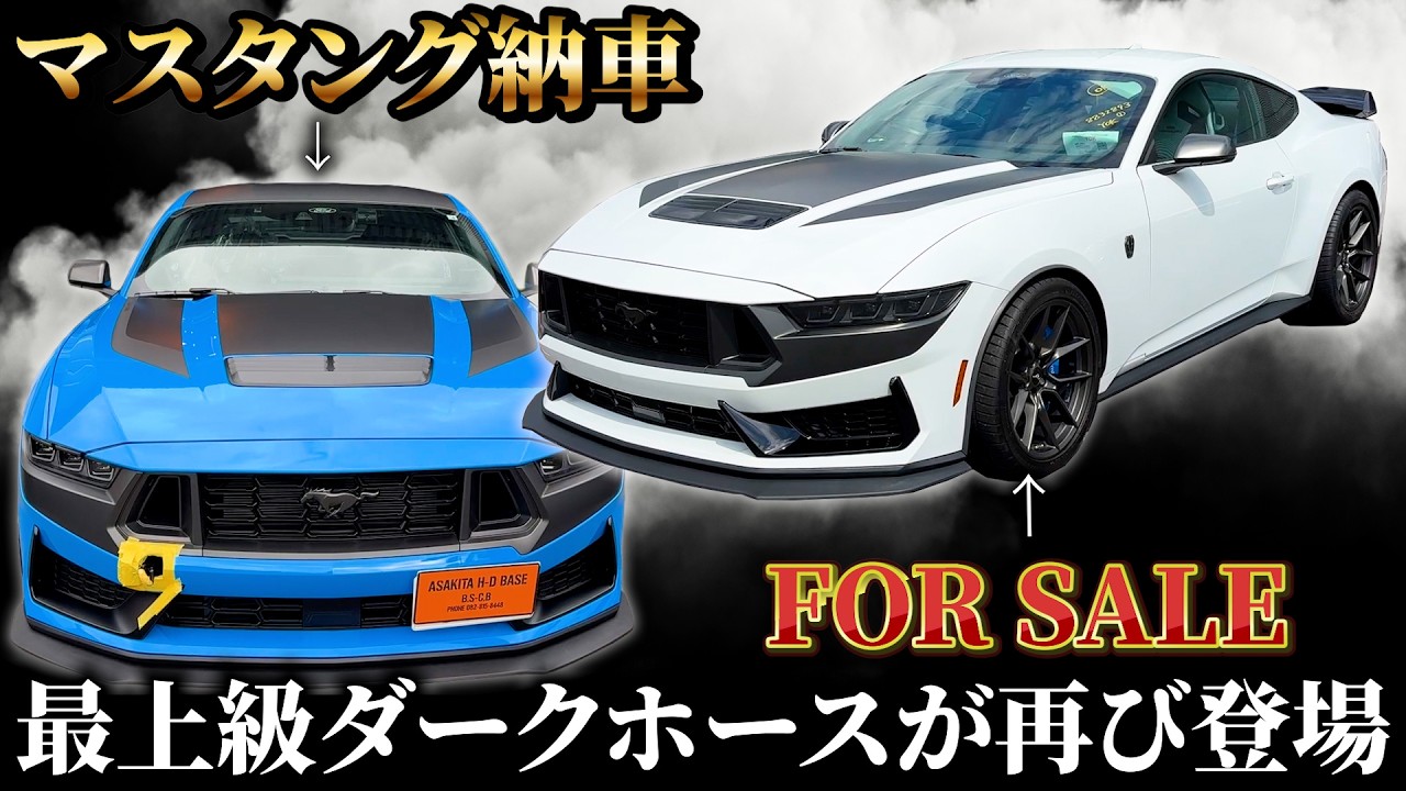 限定値下げ！mustangタイプ ネックMX ボディ不明 調整済みは動画！ Mustang Delivery] The ultimate dark horse is back! [FOR SALE