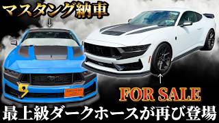 限定値下げ！mustangタイプ ネックMX ボディ不明 調整済みは動画！ Mustang Delivery] The ultimate dark horse is back! [FOR SALE