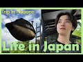 What’s Hidden in Nagano’s Mountain Backlands⛰️| Drive, BBQ, Yatsugatake, Lake & Cottage【vlog】