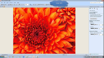 Demo thủy vân số