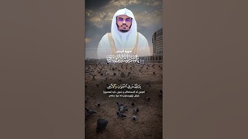 كل من عليها فان ويبقى وجه ربك ذو الجلال والاكرام - سورة الرحمن - القارى ياسر الدوسري