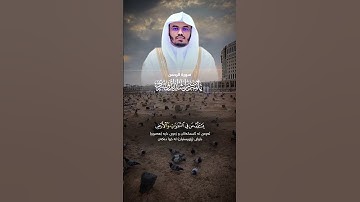 كل من عليها فان ويبقى وجه ربك ذو الجلال والاكرام - سورة الرحمن - القارى ياسر الدوسري