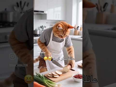 عائله مياو كبرت ميشال الخوري بنت وصبي