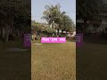 #naturelovers #viral video#trending video#viral shots#viral video#trending video#trending natures vi
