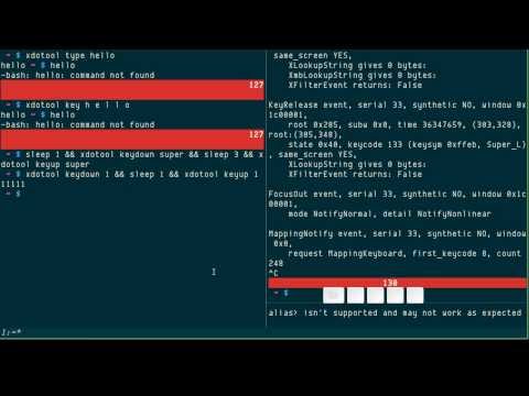xdotool: simulating keyboard input