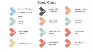 Aplikasi Sistem Pakar Diagnosa Penyakit Pada Ayam screenshot 2