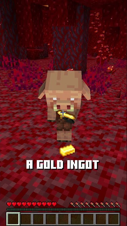 Never GIVE Baby Piglins Gold Ingots