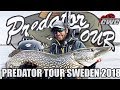 🎣 EUROPEAN PIKE FISHING COMPETITION VÄNERN 🎥 | Team CWC | Predatortour Sweden 2018 | Pike fishing