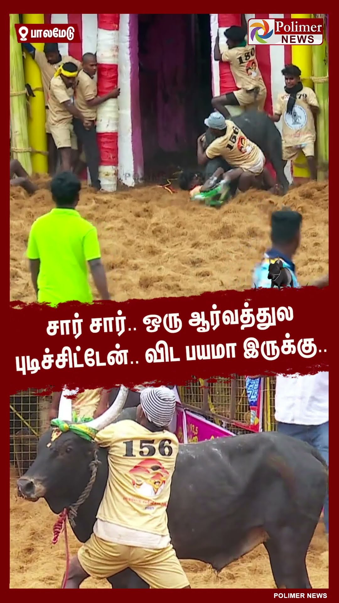 சார் சார்.. ஒரு ஆர்வத்துல புடிச்சிட்டேன்.. விட பயமா இருக்கு..  #shorts | #palamedujallikattu